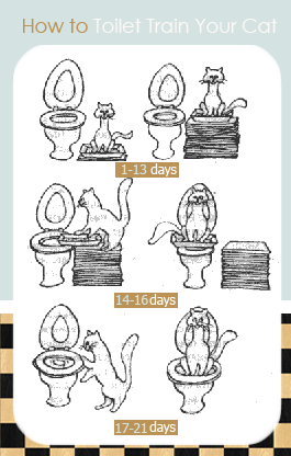 How-to-Toilet-Train-Your-Cat