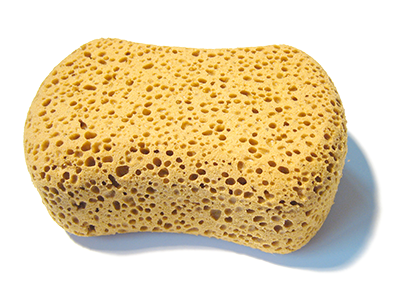 sponge-experiment